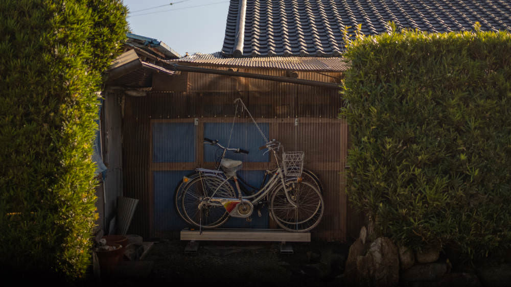 Bicycles lashed to a fence between bushes.