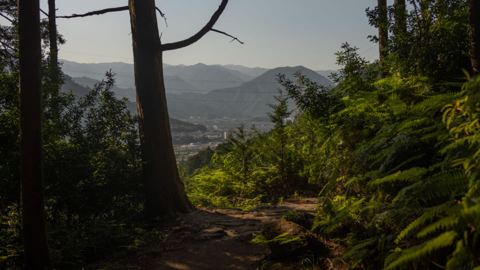 Looking back from the north side of walking up Yakiyama Tōge towards Owase City, ferns, cedar trees, just the hint of the city in the background surrounded by the hazy mountains of the Kii Peninsula.