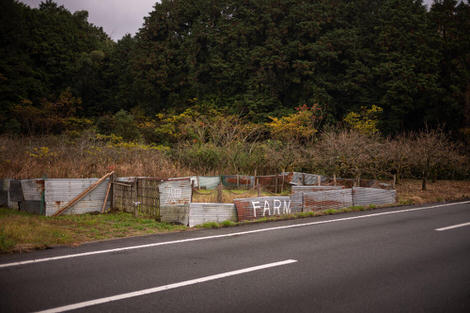 Ramshackle garden on the side of the highway with the word farm spraypainted on lending a delightfully apocolytic air to the scene.