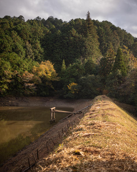 A dam, sunlit earthen edge cutting down the center of the field of view. 