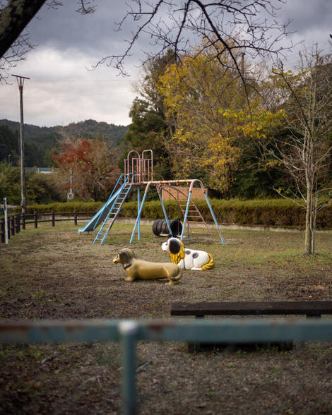 Empty playground, two dogs, upon which one could in theory sit, doesn't look like they bounce, swingset and small tire tunnel in the background.