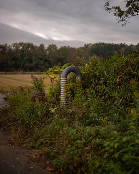 A striped pipe poking out of the bushes on a path just off the main Ise-ji route, farmland peeking through in the background.