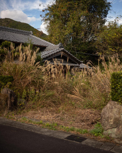 Another one of our good friends: the abandoned kominka, or old Japanese farmhouse, this one barely visible as the susuki has taken over what one can only assume was the front yard.