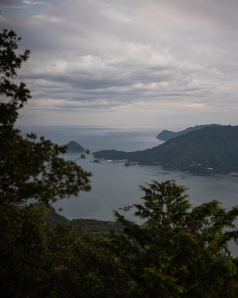 Looking out into the cove into which Owase is tucked, foliage inthe foreground, ocean and some small island in the background.
