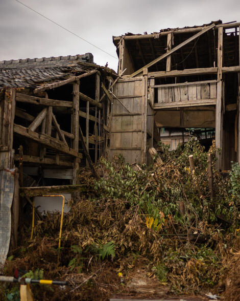 Half a building, the other half gone, replaced by weeds and broken bits of other buildings, the inner laticework of timber frames revealed.