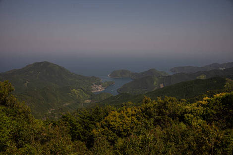 Looking out from the top of Yakiyama south east down the coast, ragged mountains covered in trees.