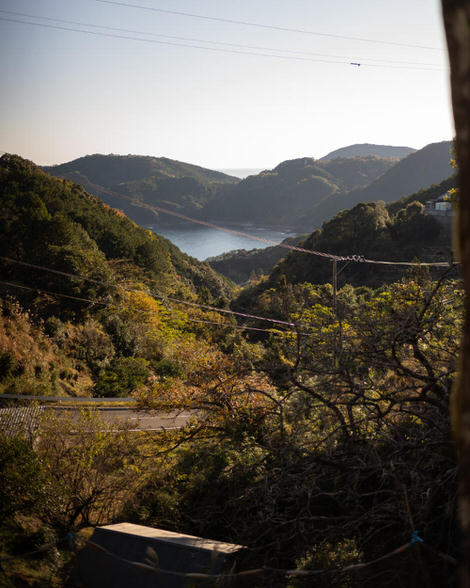 Yet another cove, electrical wires cutting through the foreground, green, lots of green.