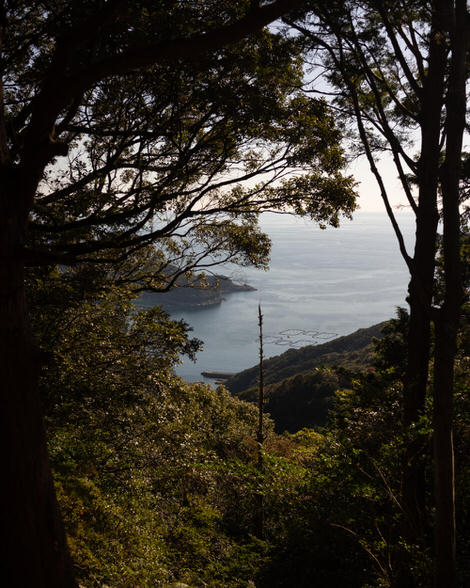 Looking down from Miki Tōge into the cove just after Mikisato Village.