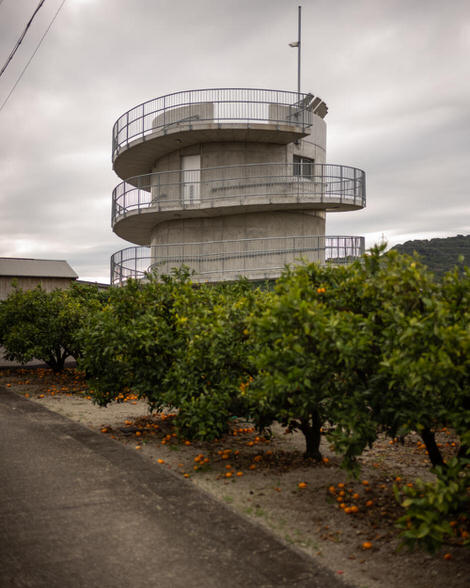 Tsunami escape pod — a concrete cylinder with low-sloping ramps rotating around the central pillar; citrus trees in the foreground, grey skies beyond.