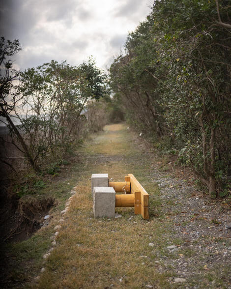 Another bench, alone, more lonely than the last since this one has fallen over in the middle of the path; ocean just barely out of frame to left, wall of bushes to right of path.
