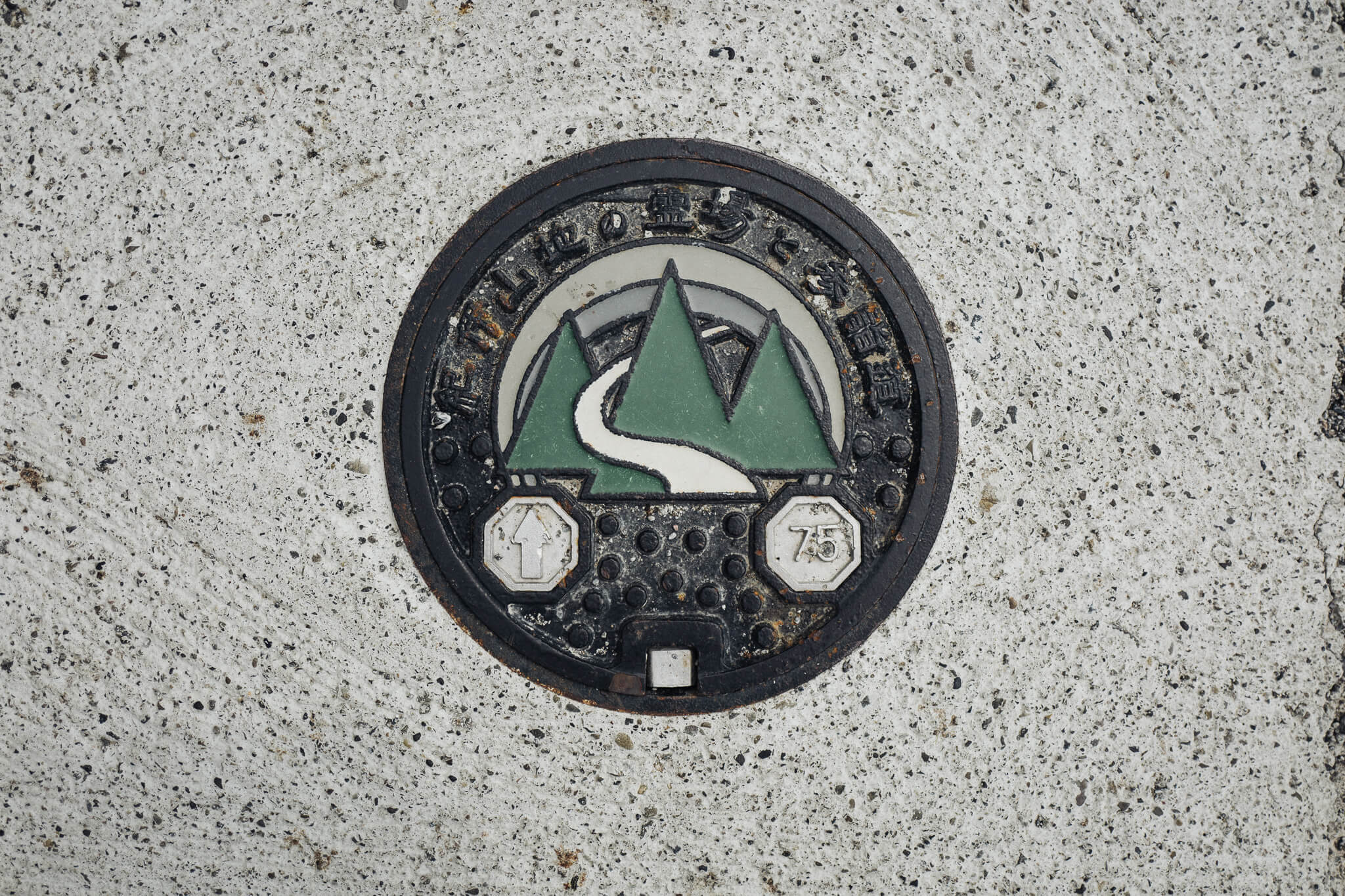 Hongu Taisha manhole cover