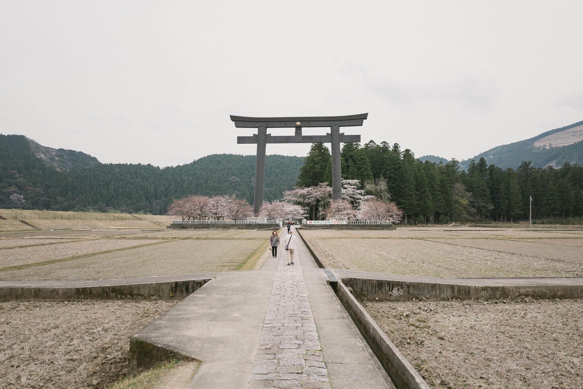 The Hongu Taisha torii gates