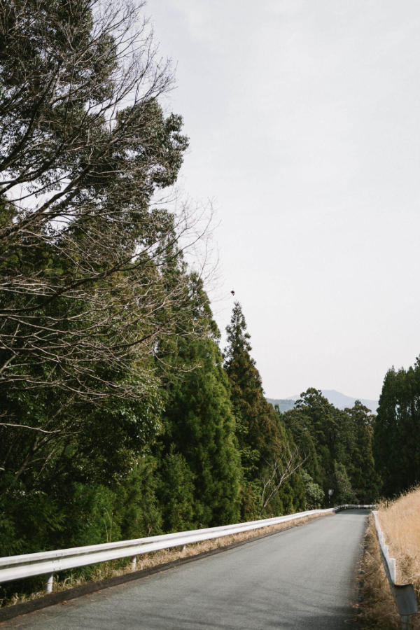 A road near Hosshinmon on the way to Hongu Taisha