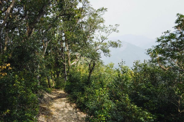 Kumano Kodo path and lookout