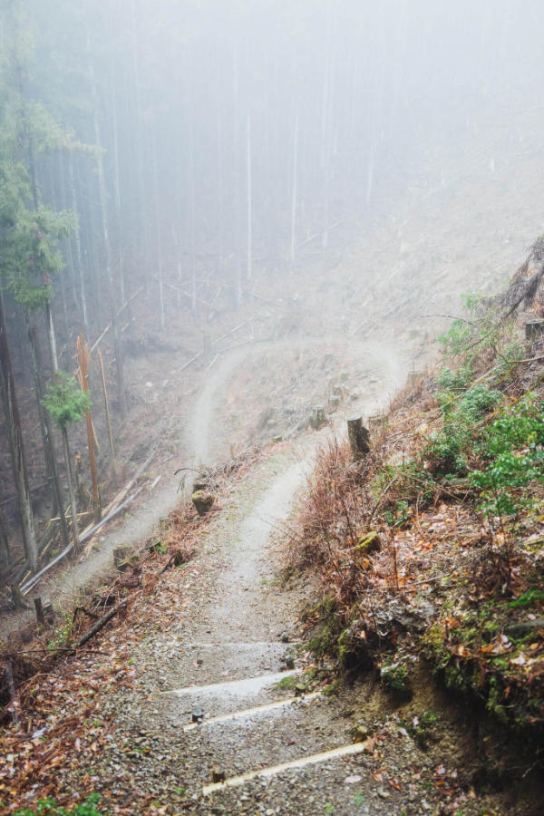 Mist on the way to Miura Guchi on Kumano Kodo