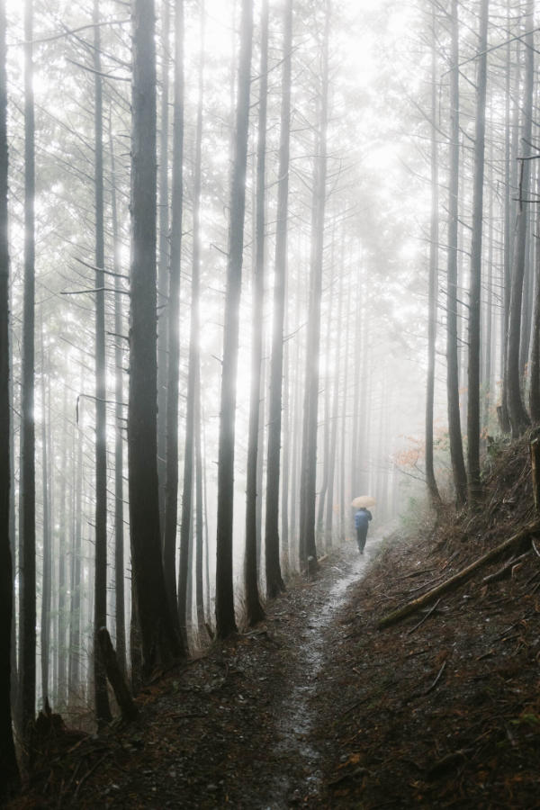 Dan Rubin walking alon Kumano Kodo