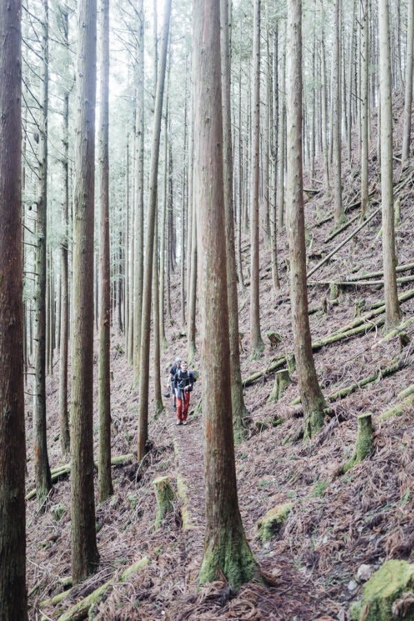 Craig Mod and Matt Mullenweg on the way to Omata along Kumano Kodo