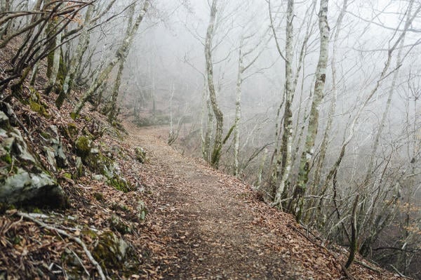 Dirt path on the way to Omata