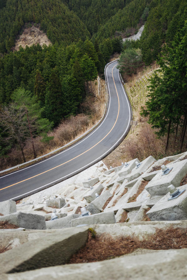 Reinforcement and road; a metaphor for man's encroaching upon and domination of nature 