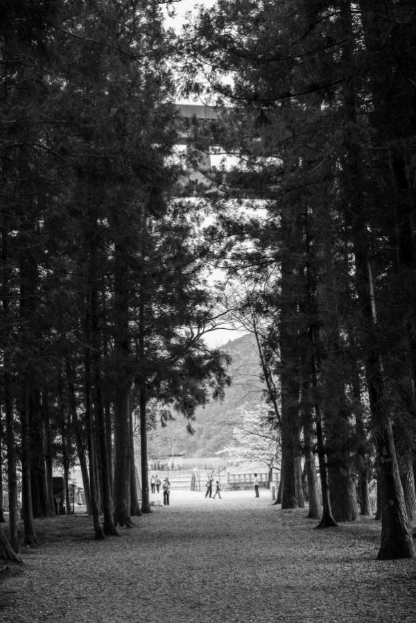 Hongu Taisha torii as seen from Oyunohara