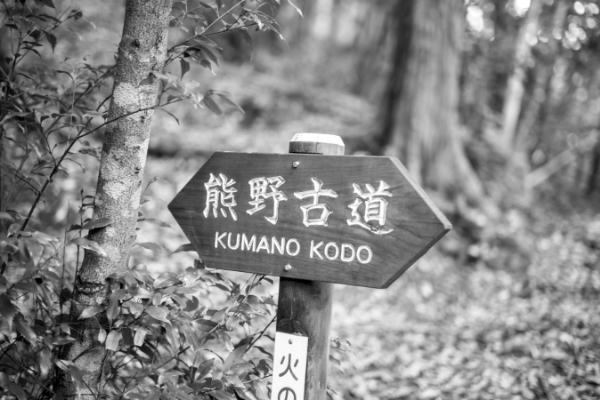 Kumano Kodo!