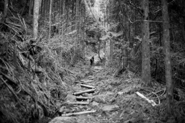 Dan Rubin and Matt Mullenweg walking up the last bit before Koya-san